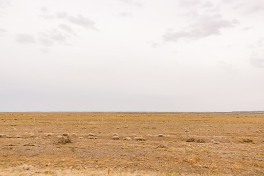 新疆荒漠