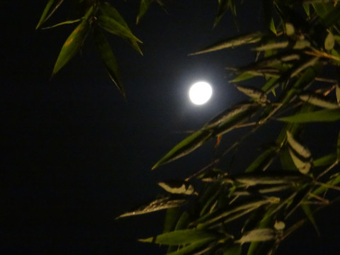 月亮六