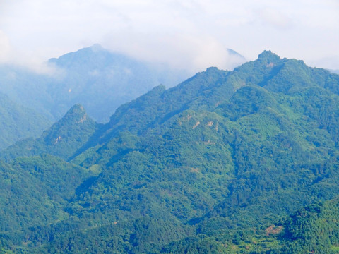 高山云雾一