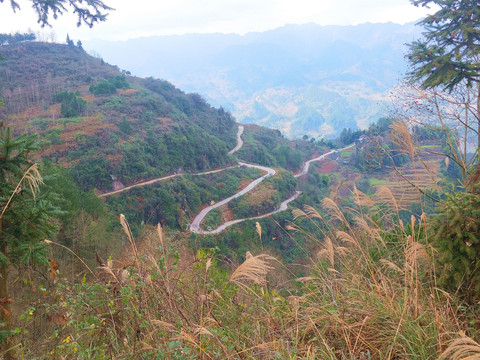 自然风景