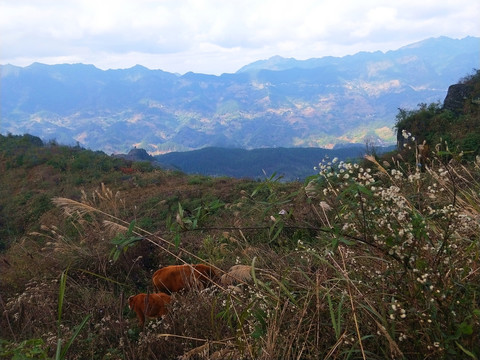 自然风景