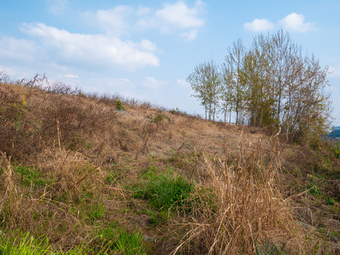 荒地山坡