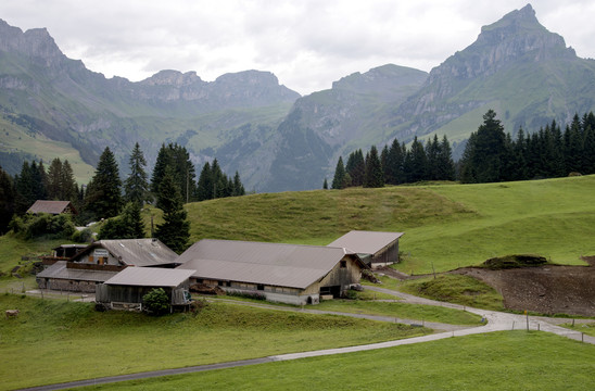 瑞士牧场草地与雪峰
