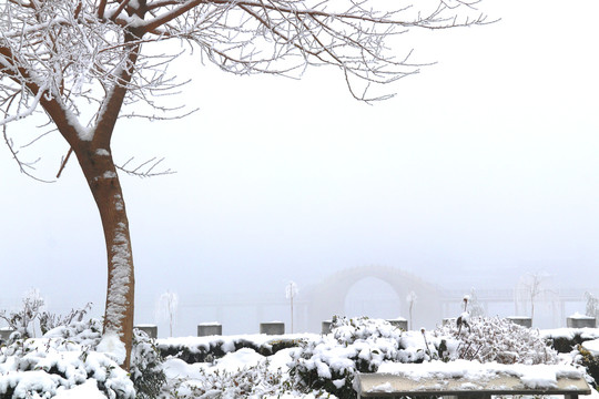 公园雪景