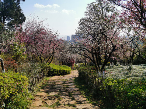 公园步道