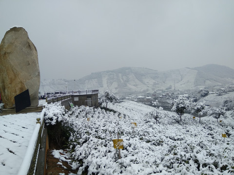 江南雪景