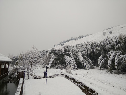 江南雪景