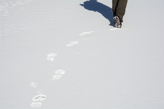 雪地足迹