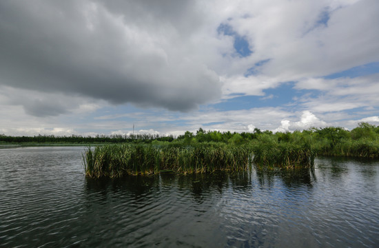 琴湖湿地