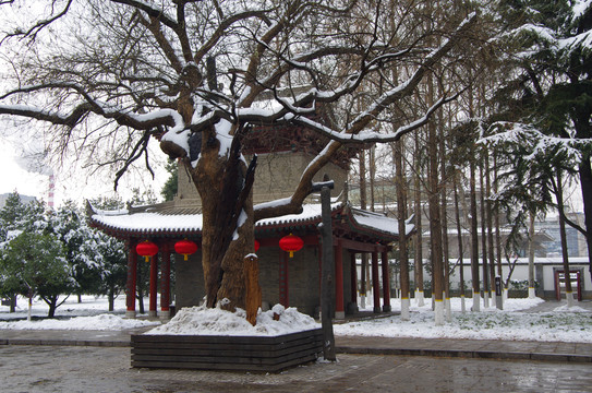 西安小雁塔雪景