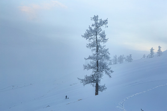 喀纳斯冰雪