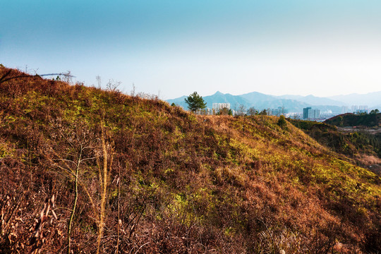 山城山坡城市远景