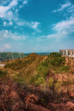 山城高山城市