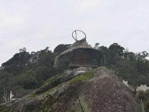 土蜂养殖