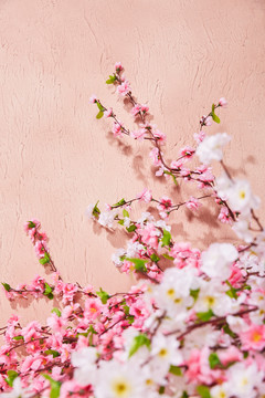 美丽的粉红桃花背景