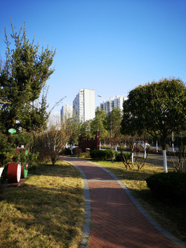 绿色家园