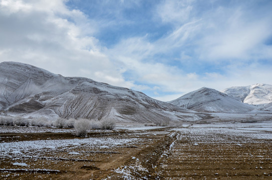 西藏雪山