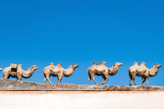 屋檐上的骆驼雕塑