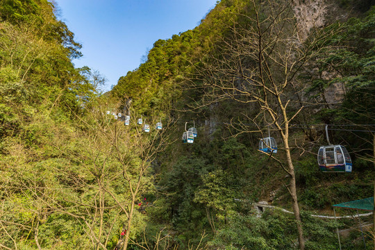 重庆黑山谷原始生态风景区