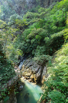 重庆黑山谷原始生态风景区