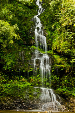 雅安荥经龙苍沟风景