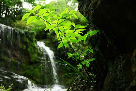 雅安荥经龙苍沟风景