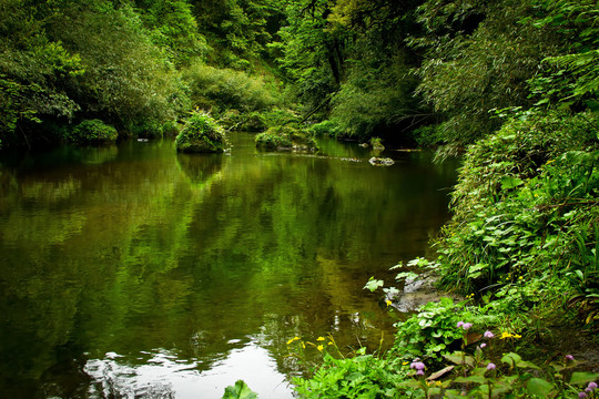 雅安荥经龙苍沟风景