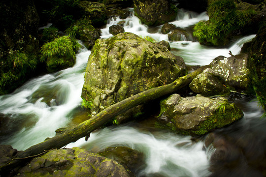 雅安荥经龙苍沟风景区