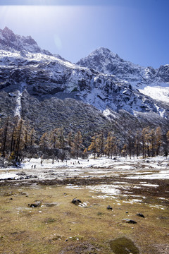 川西冰川雪山风光