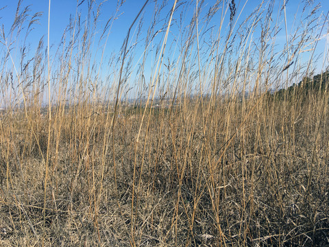 乡村田园贫瘠的山区