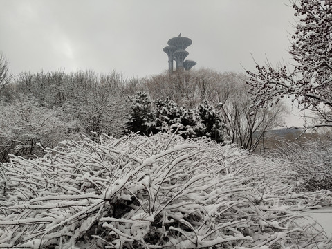 北京奥林匹克森林公园雪景