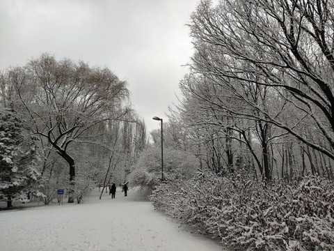 北京奥林匹克森林公园雪景