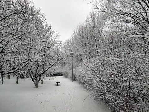 北京奥林匹克森林公园雪景