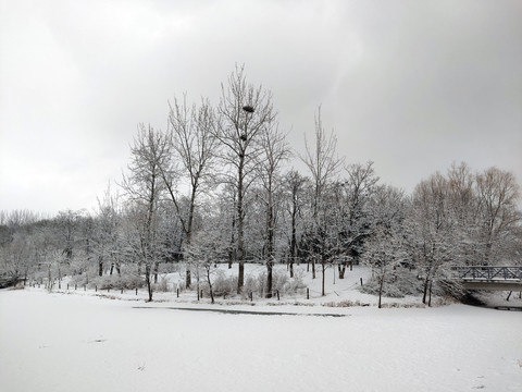 北京奥林匹克森林公园雪景