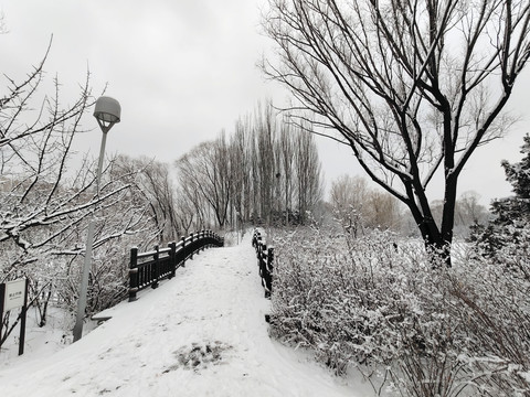 北京奥林匹克森林公园雪景