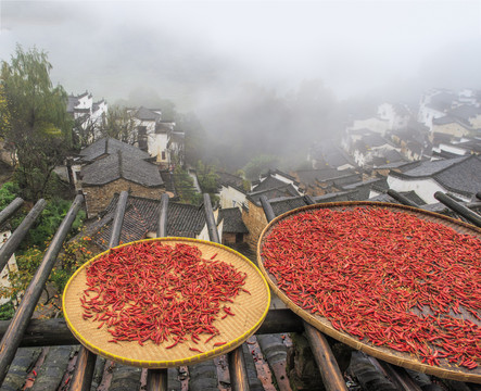 篁岭风光8