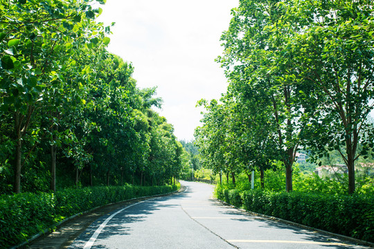 罐头岭冠岭山庄