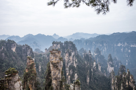 张家界天子山