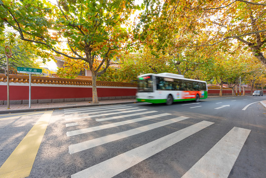 青岛大学路