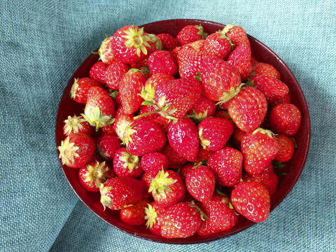 静物奶油草莓果