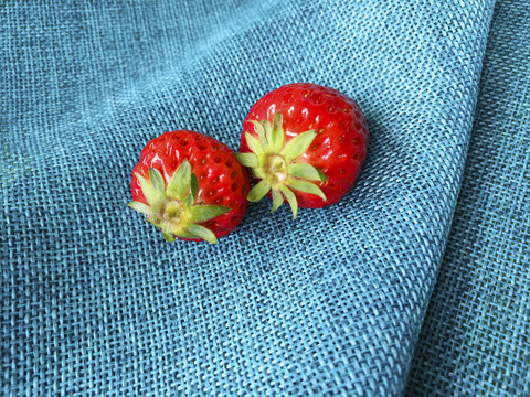 两颗红颜草莓