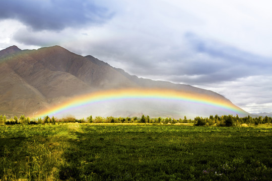 中国西藏高原牧场和彩虹