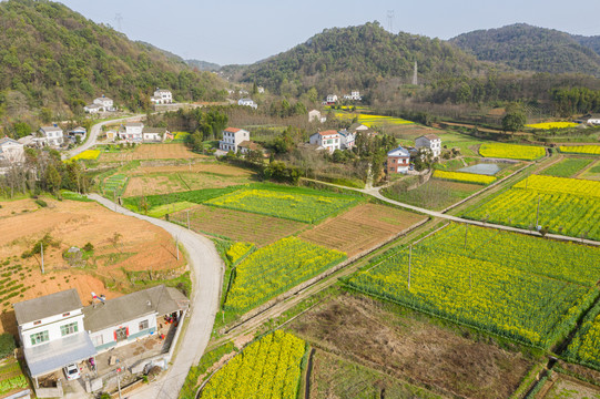 春天风景