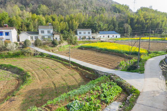 春天乡村公路