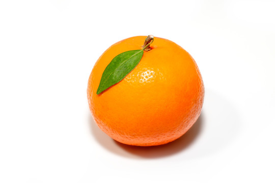 沃柑