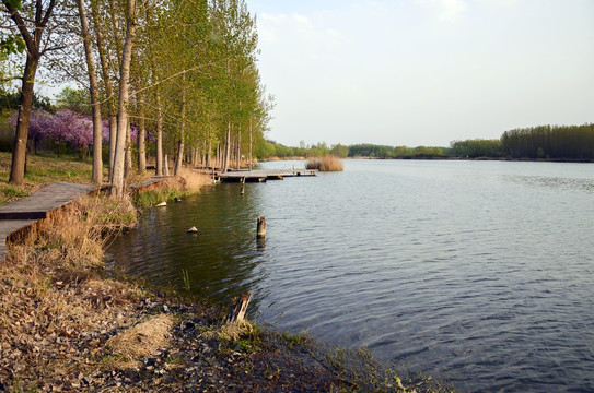 白浪绿洲湿地公园