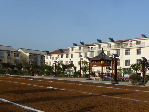 新农村