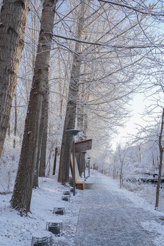 雪后的河边小路