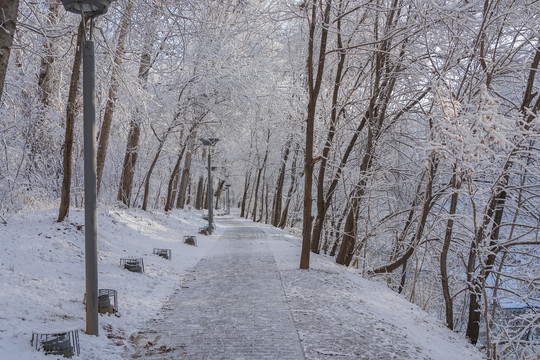 雪后的河边小路