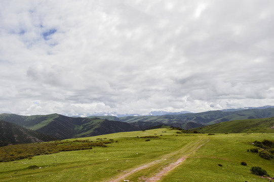 西藏高原平原山区